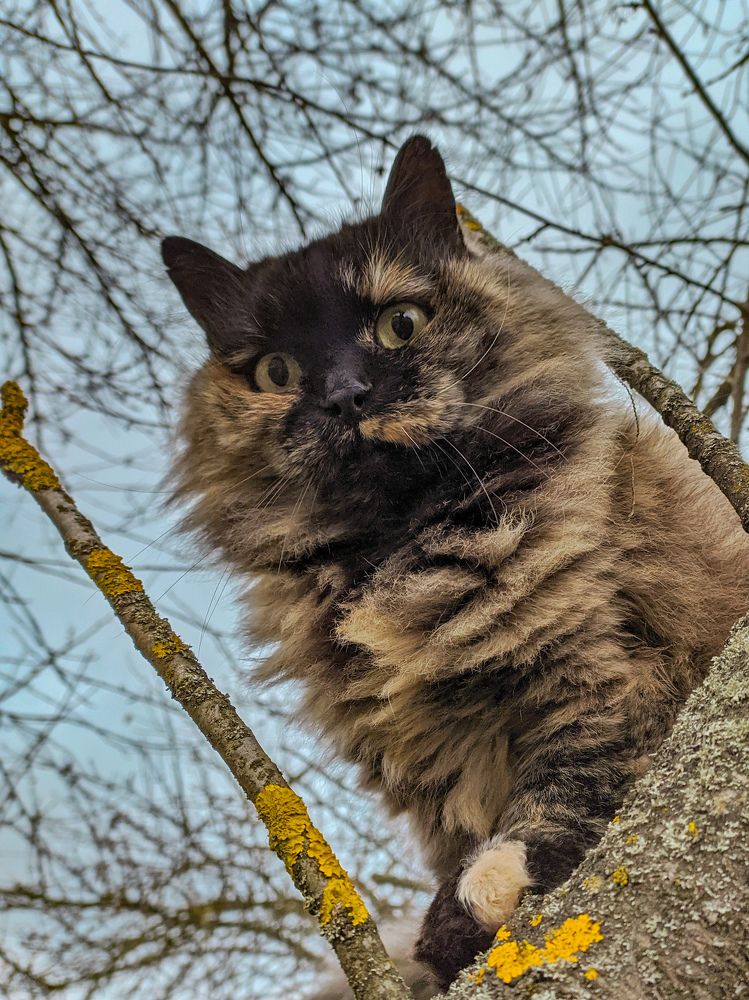 Photograph by Наталья Егорова