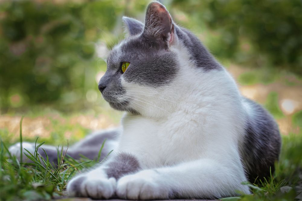 Фотография автора Мария Обидина