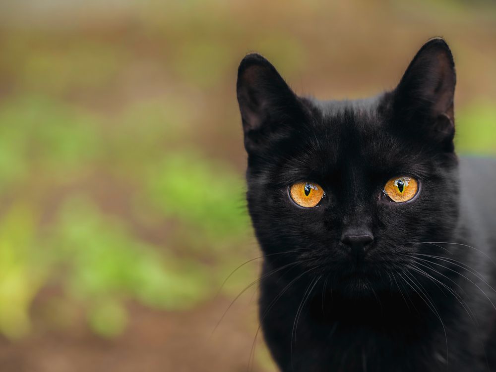 Фотография автора Мария Обидина