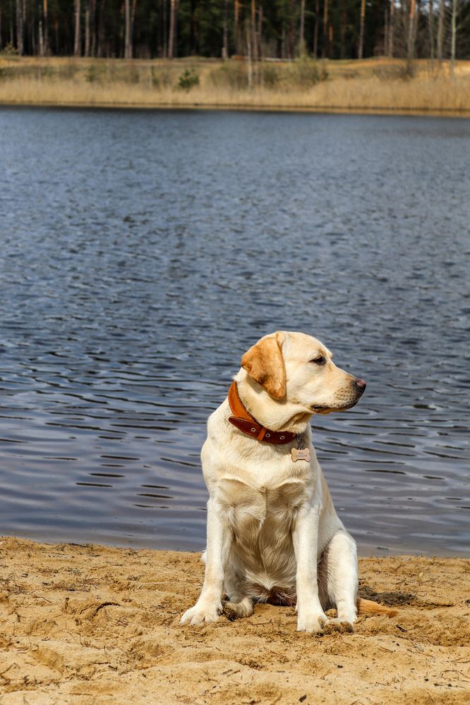 Photograph by Елена Квасова