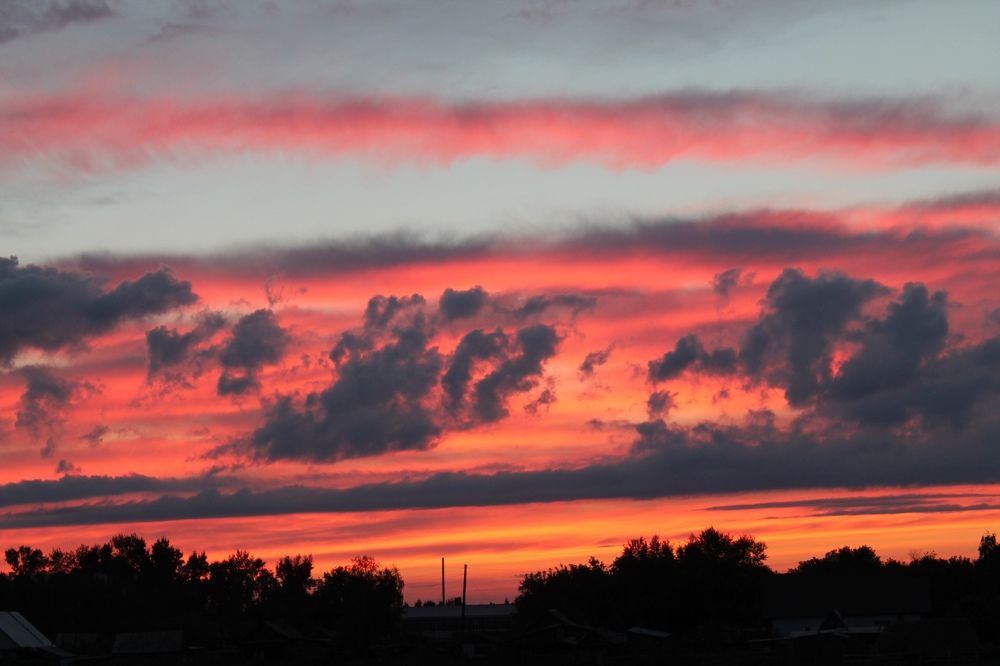 Photograph by Ekaterina