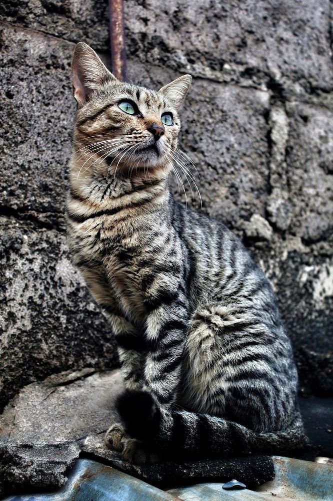 Photograph by Fatima Yusuf