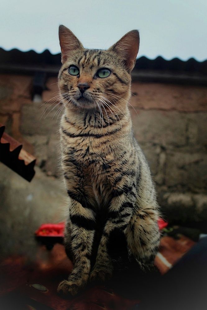 Photograph by Fatima Yusuf