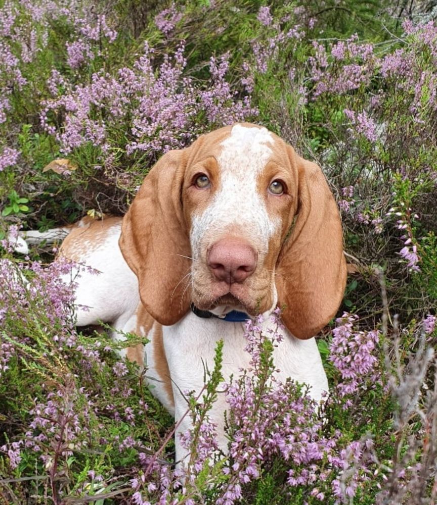 Photograph by Марина Безенкина