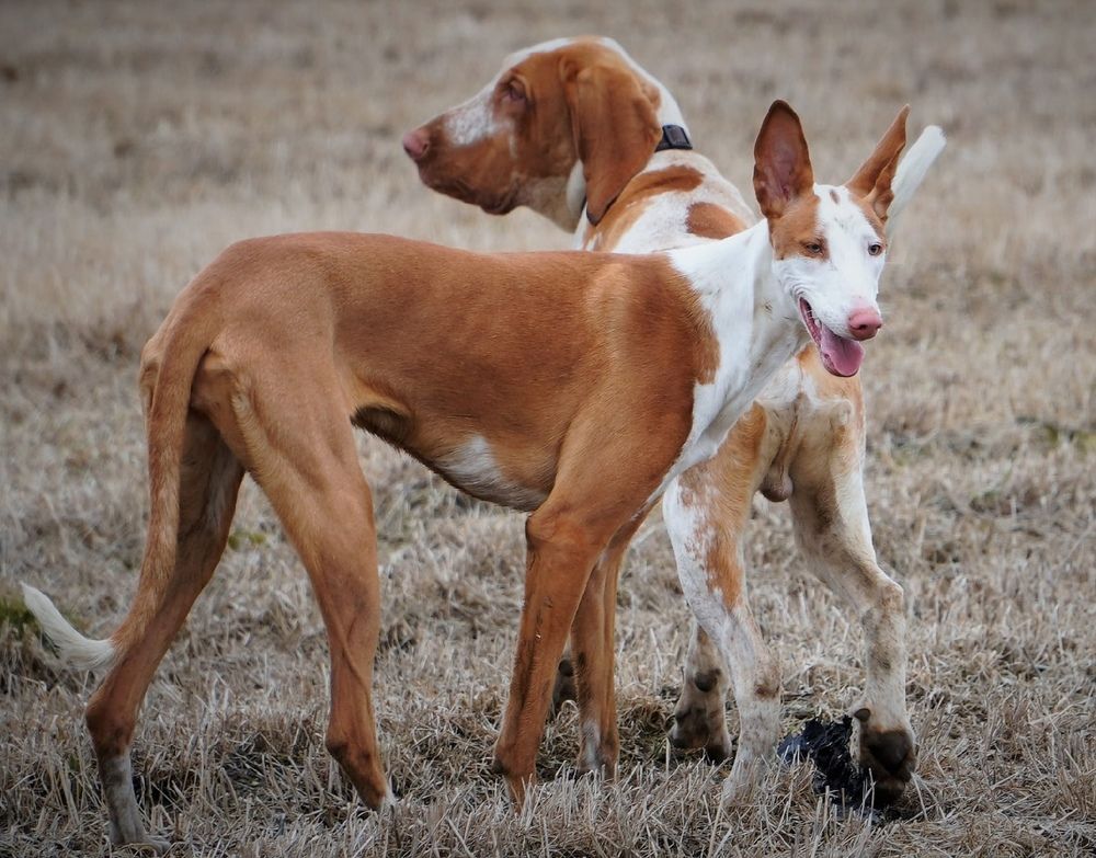 Photograph by Марина Безенкина