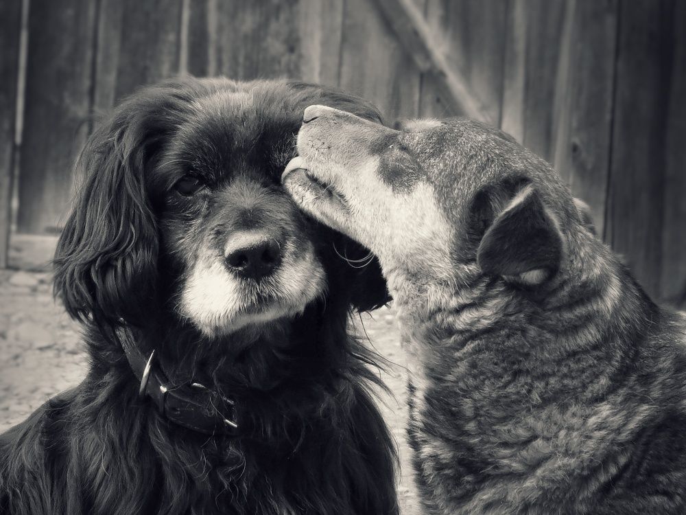 Photograph by Елена Леоненко