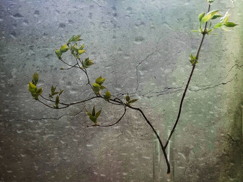 Photograph by Оксана Корепанова