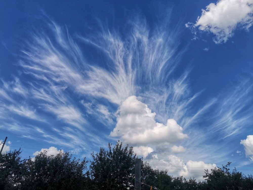 Photograph by Ольга Мажарук