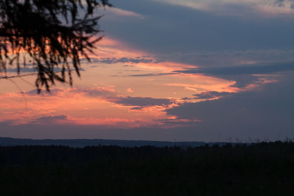 Photograph by Ольга Мажарук