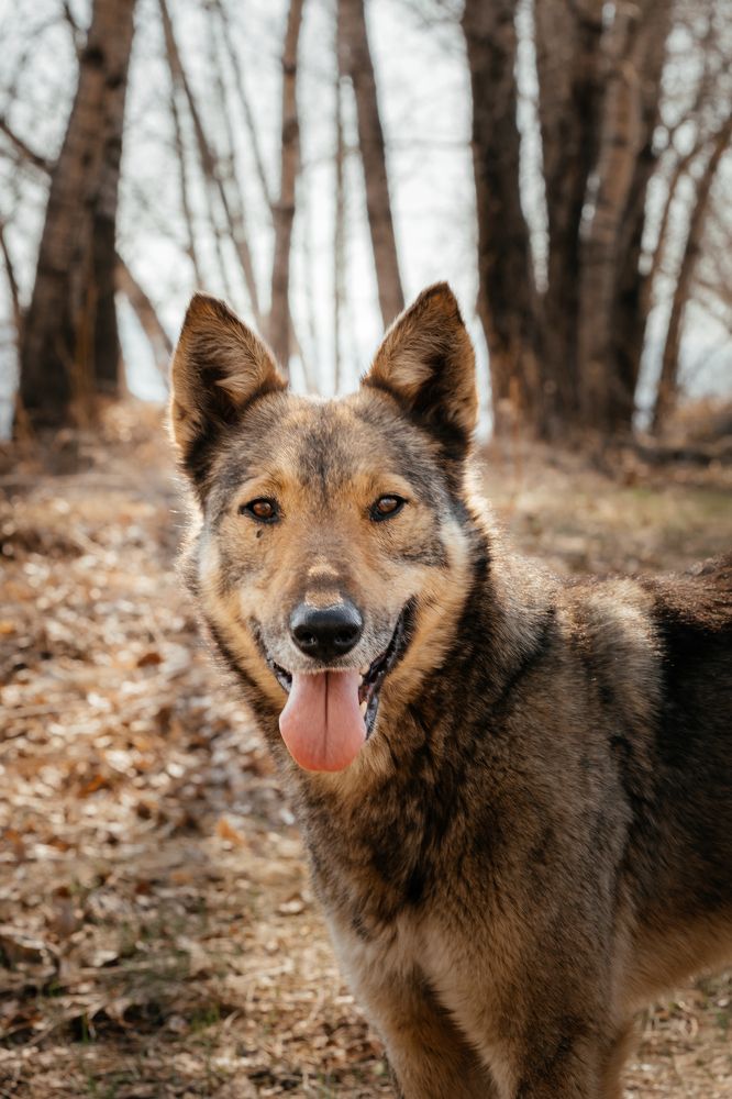 Photograph by Оксана Корчагина