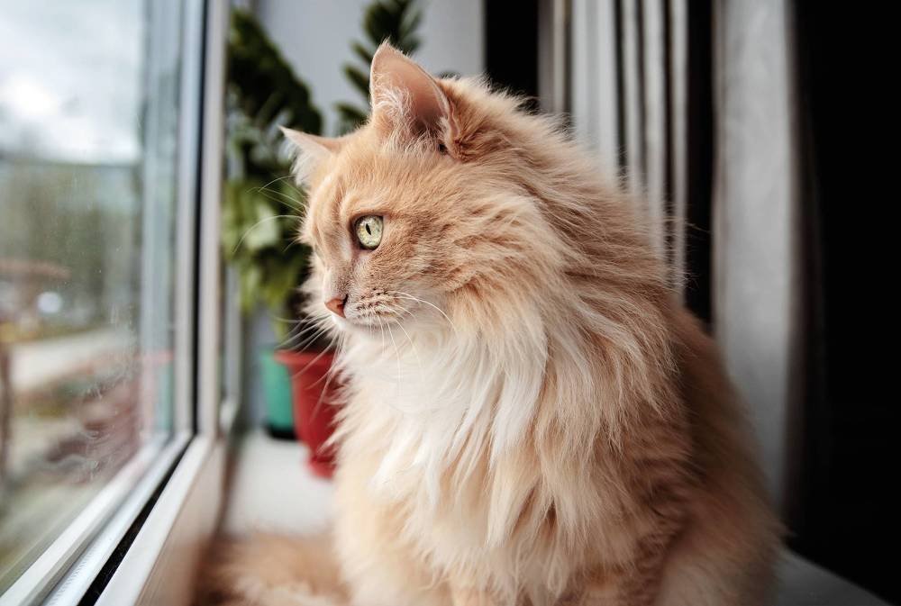 Photograph by Ксения Рябухина