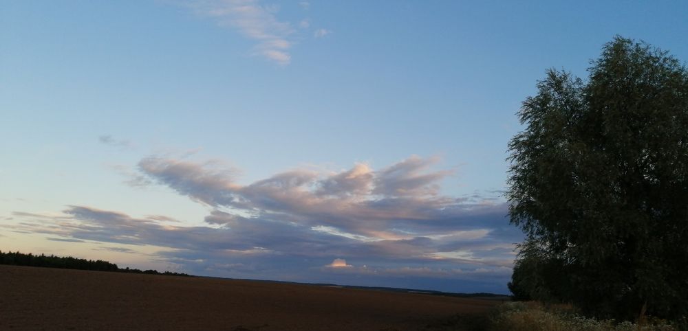 Photograph by Вероника