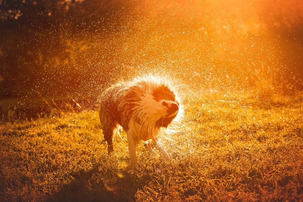 Photograph by Мария Калинина