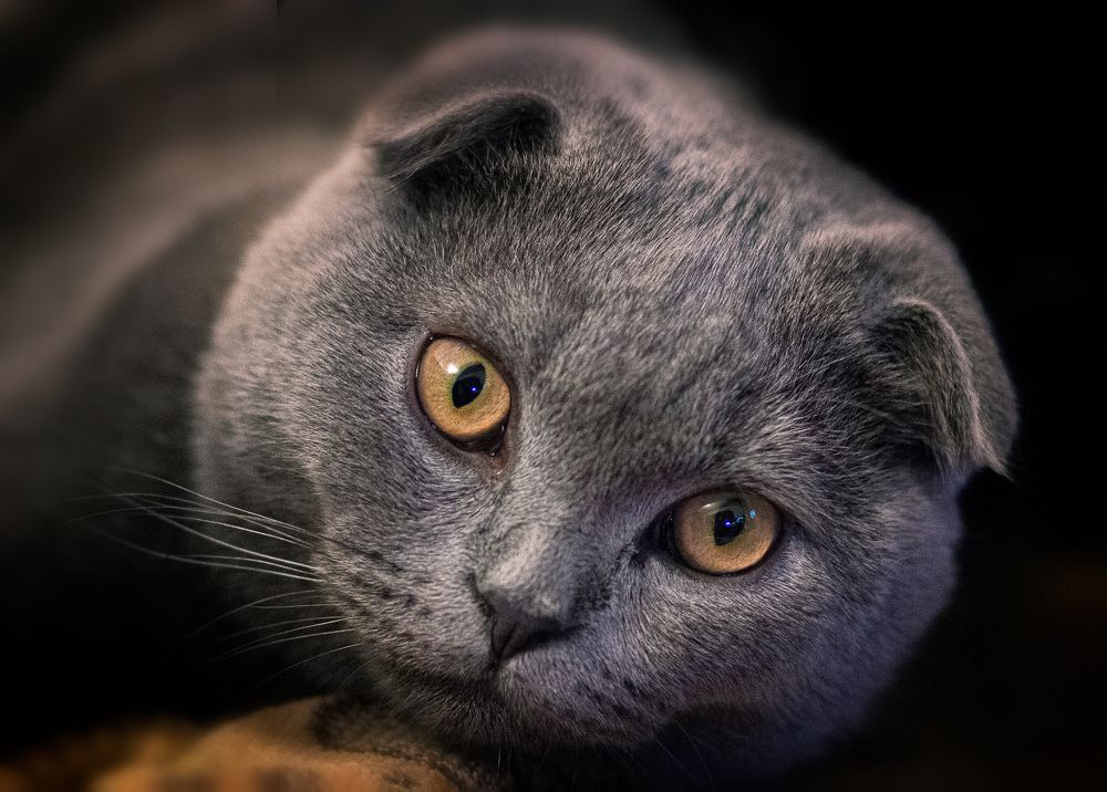 Photograph by Басалаев Евгений