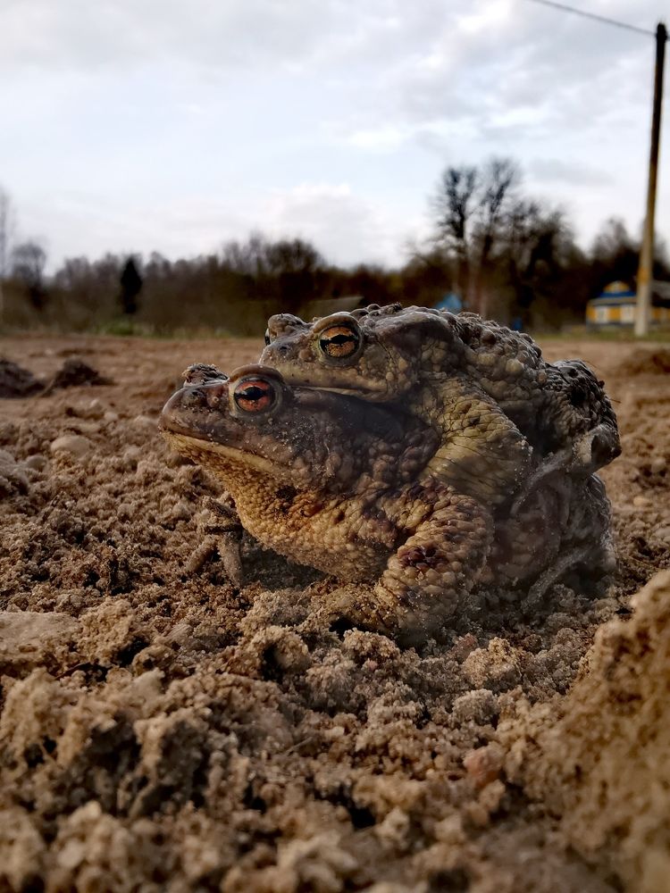 Photograph by Мария Бартош