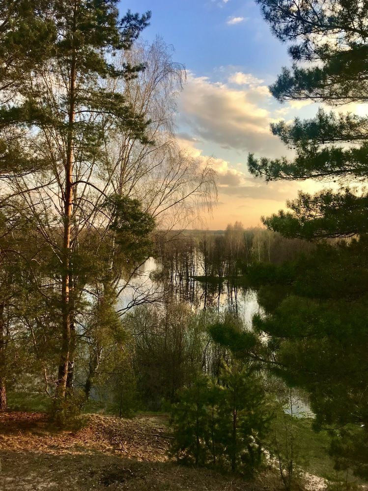 Photograph by Михаил Некрасов