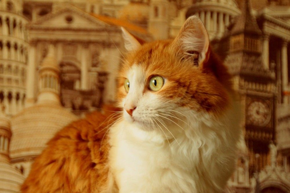 Photograph by Наталья Сазонова