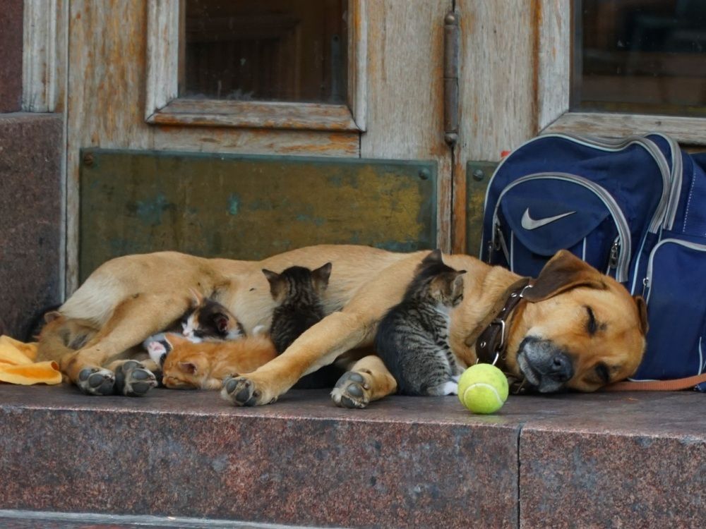 Photograph by Ольга Паньшина