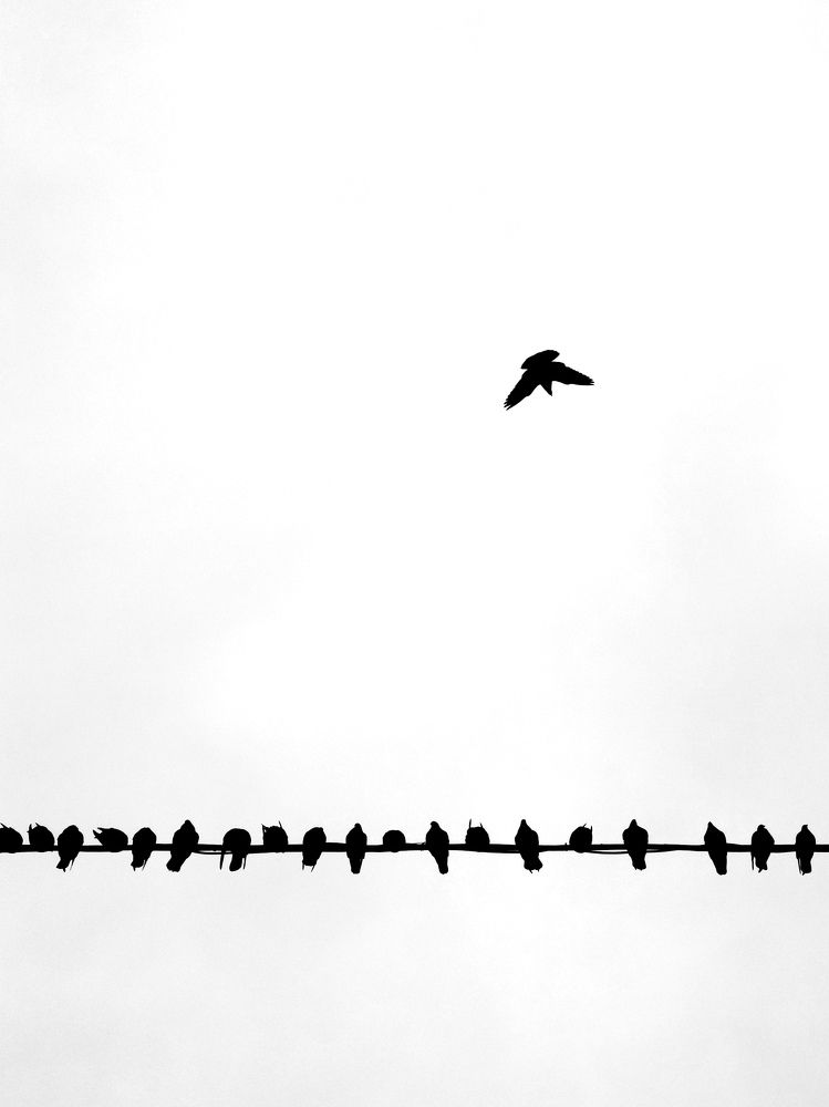 Photograph by Николай Буйко