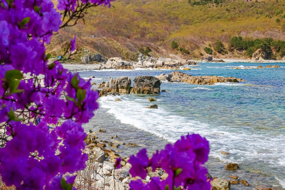 Photograph by Анна Хлоповская