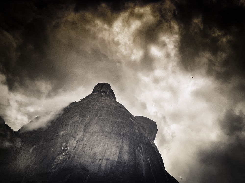 Photograph by Luiz Fernando Galvão de Queiroz