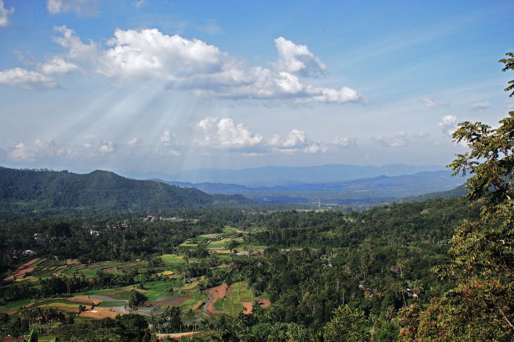 Фотография автора JOE