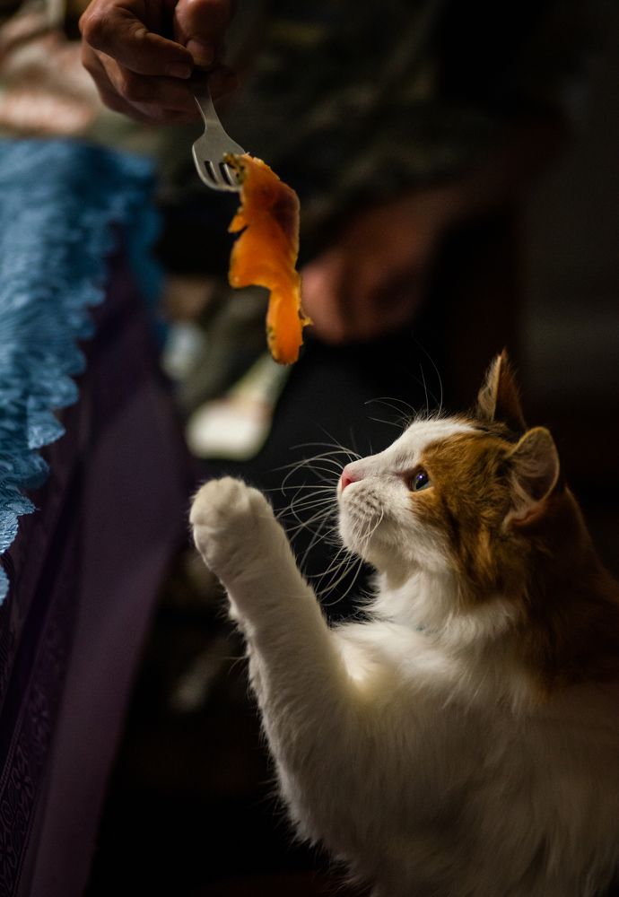 Photograph by Даркина Дарья