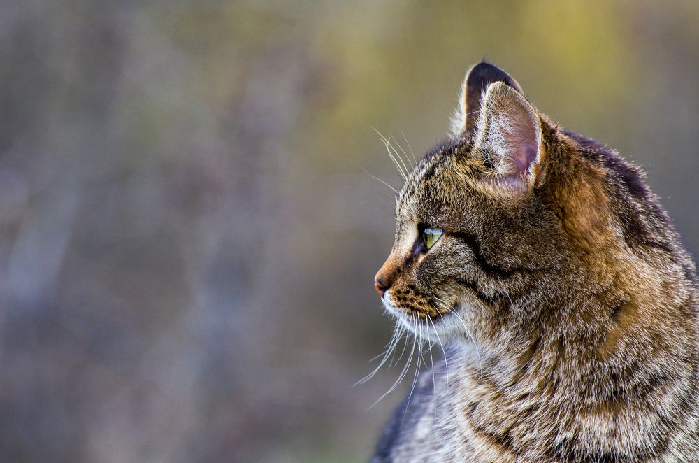 Фотография автора Vladislav Shilo