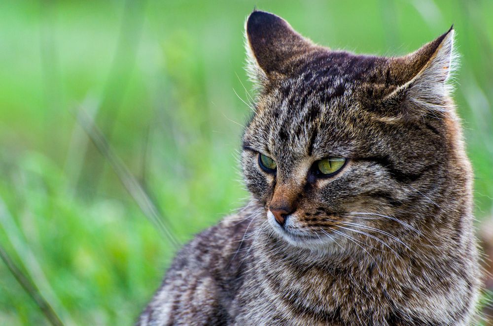 Фотография автора Vladislav Shilo