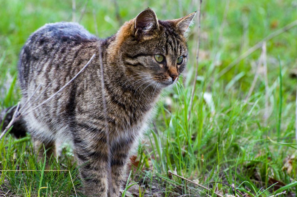 Фотография автора Vladislav Shilo
