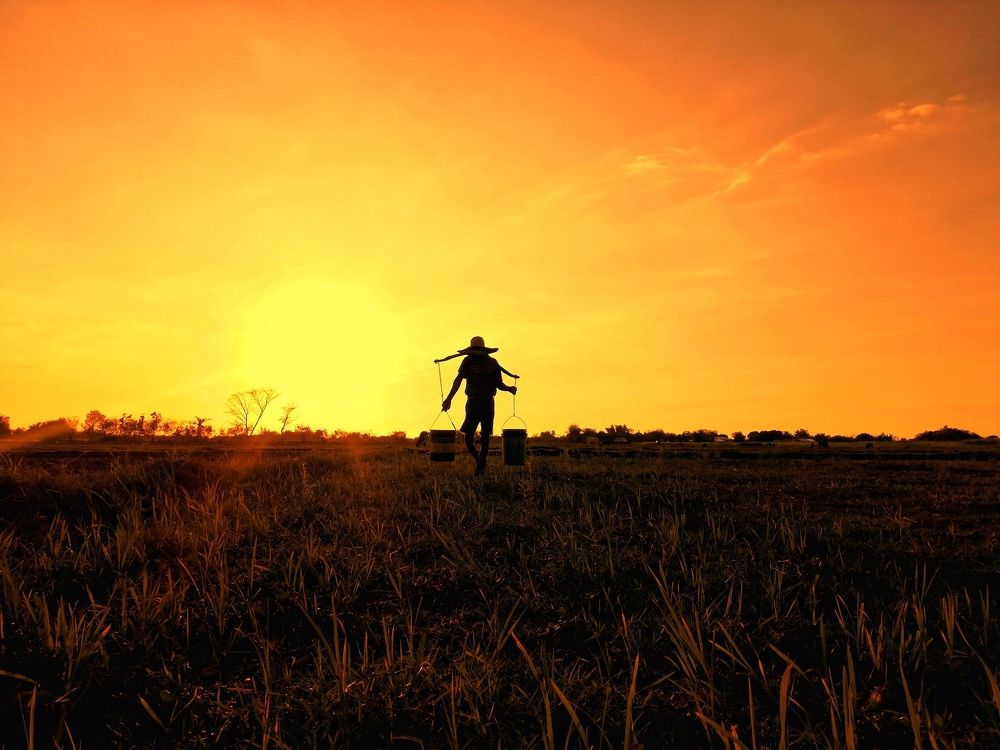 Photo #6067163