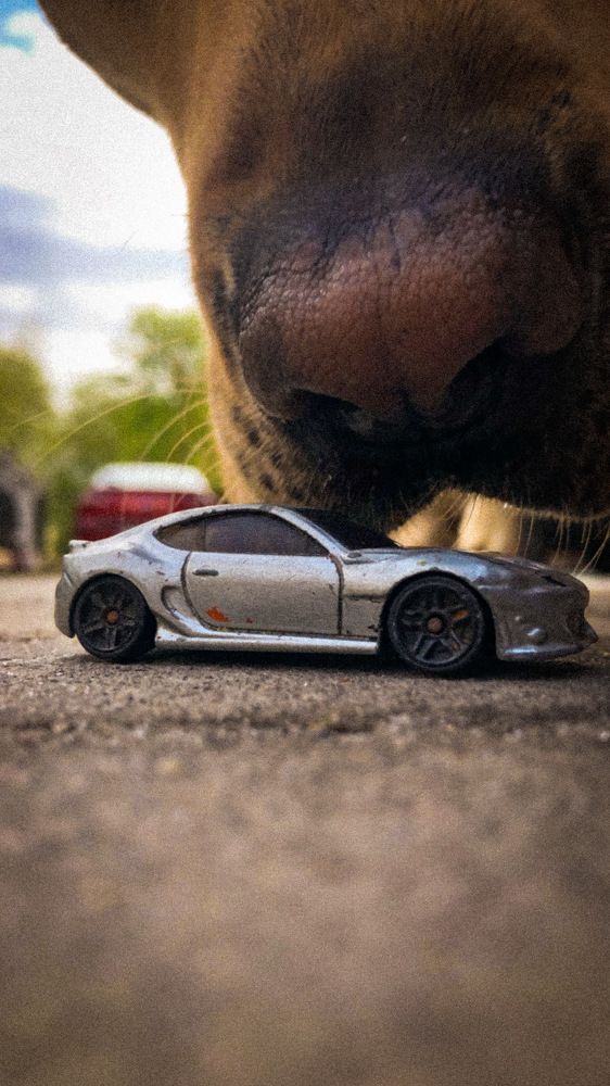 Photograph by Виктор Вандяк