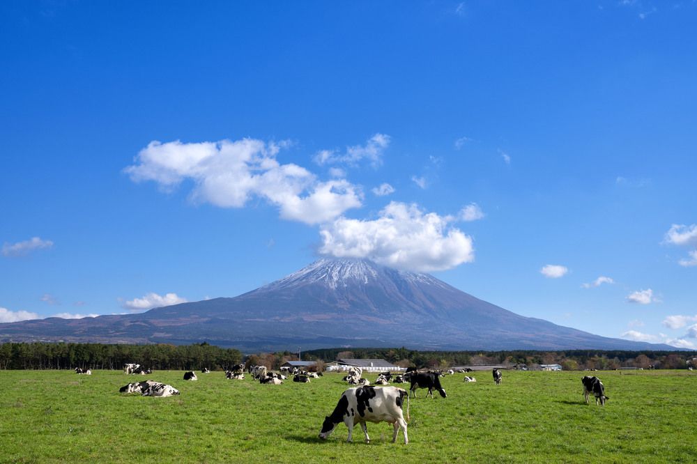 Photograph by EELIN Chan