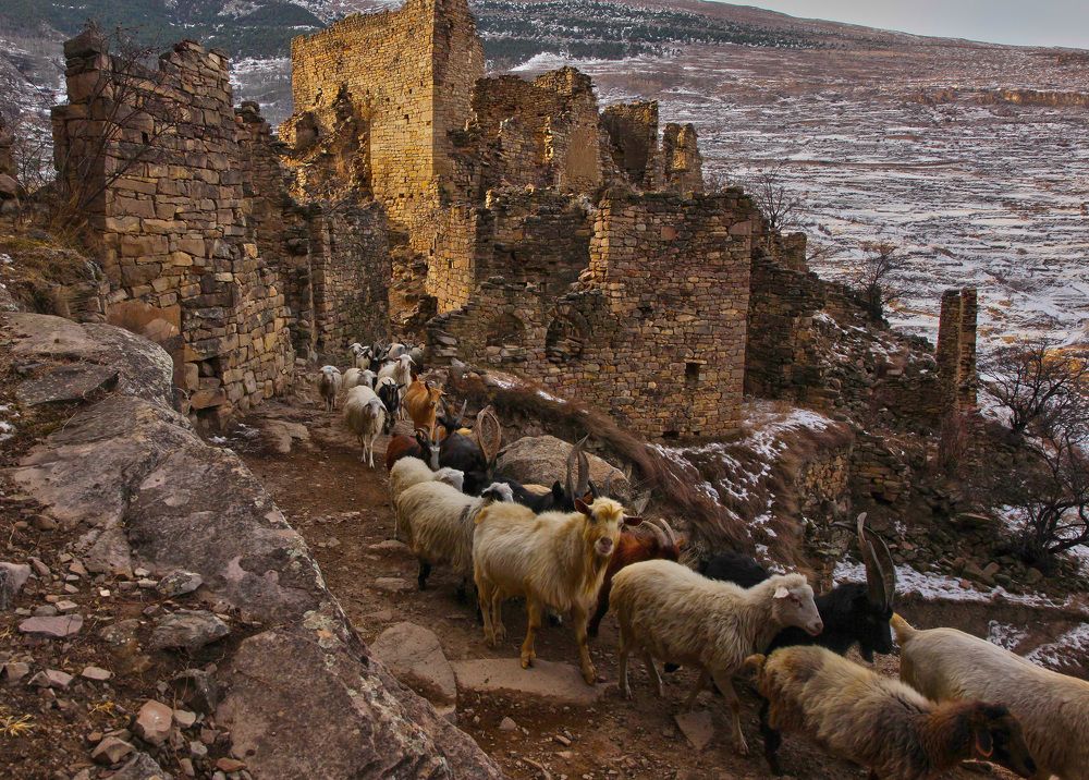 Photograph by Marat Magov