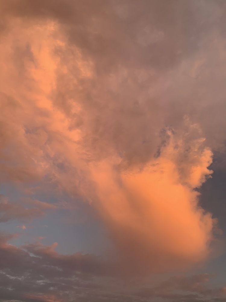 Photograph by Елена Сушкова