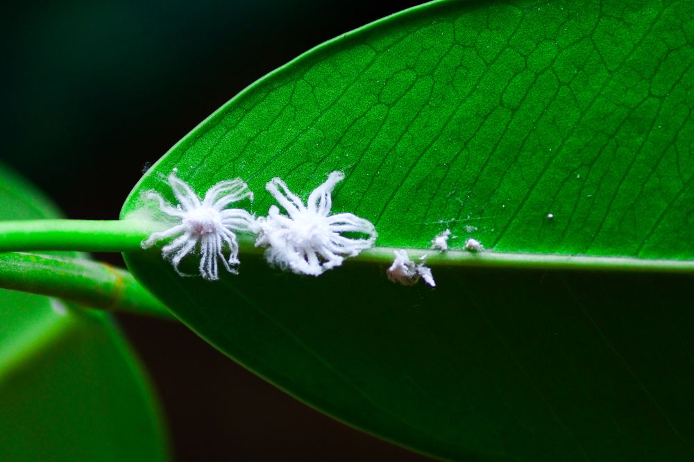 Photograph by Sunshine Mae Guillermo