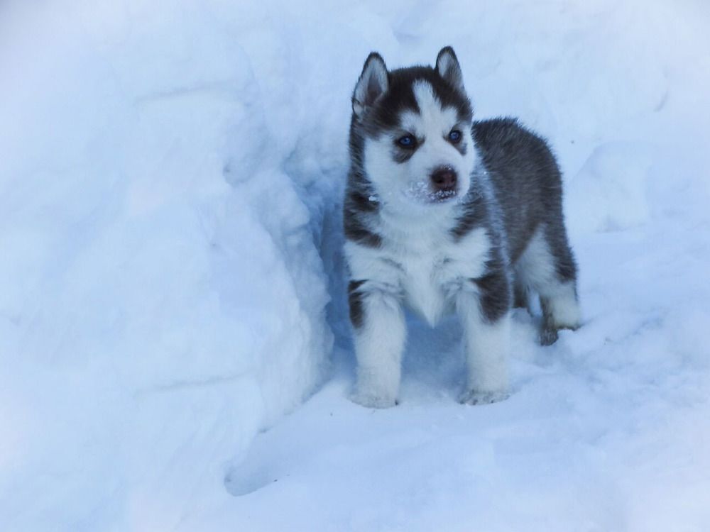 Photograph by Анжелика Трошина