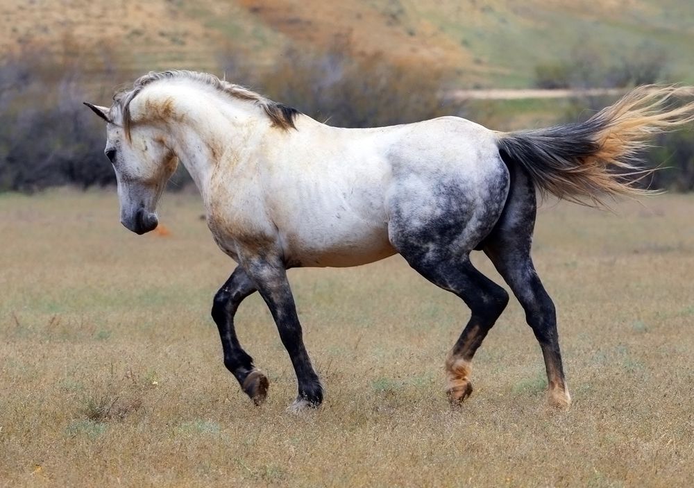 Photograph by Marat Magov