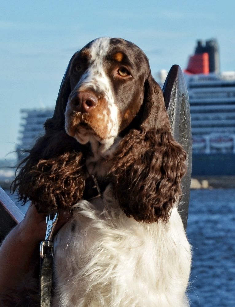 Терри в Кронштадте.