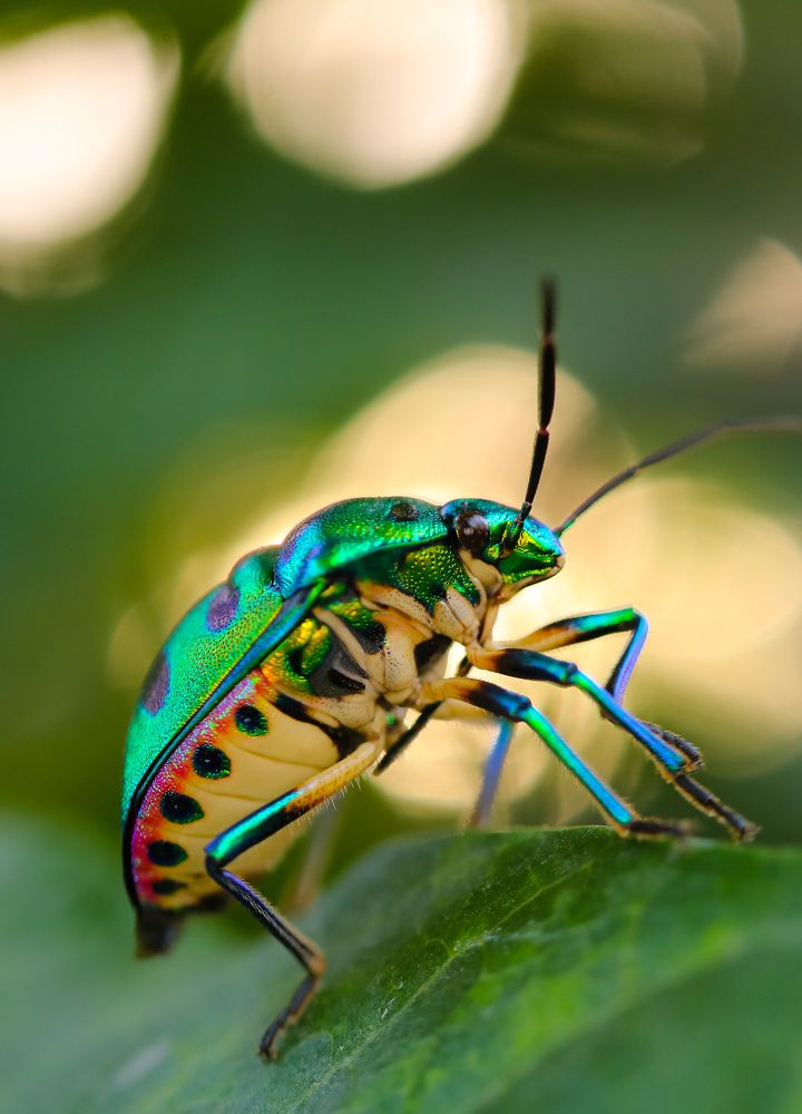 Photograph by Lakshya Sharma
