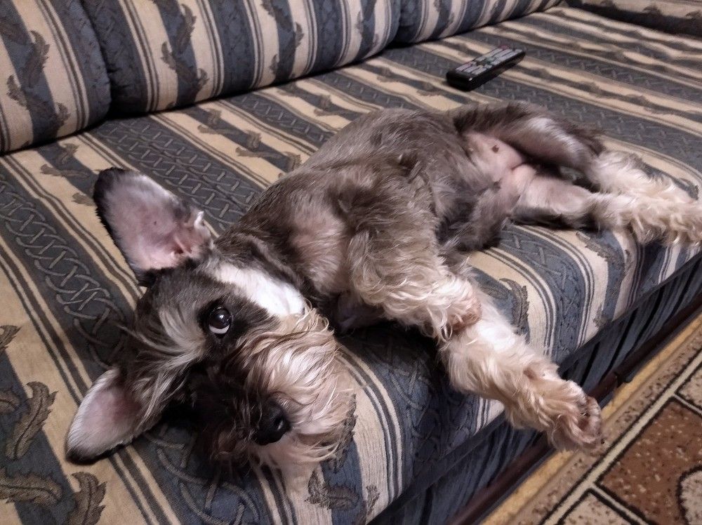 Photograph by Юрий Яковлев