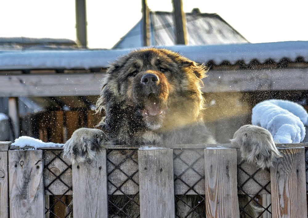 Photograph by Юрий Назыров