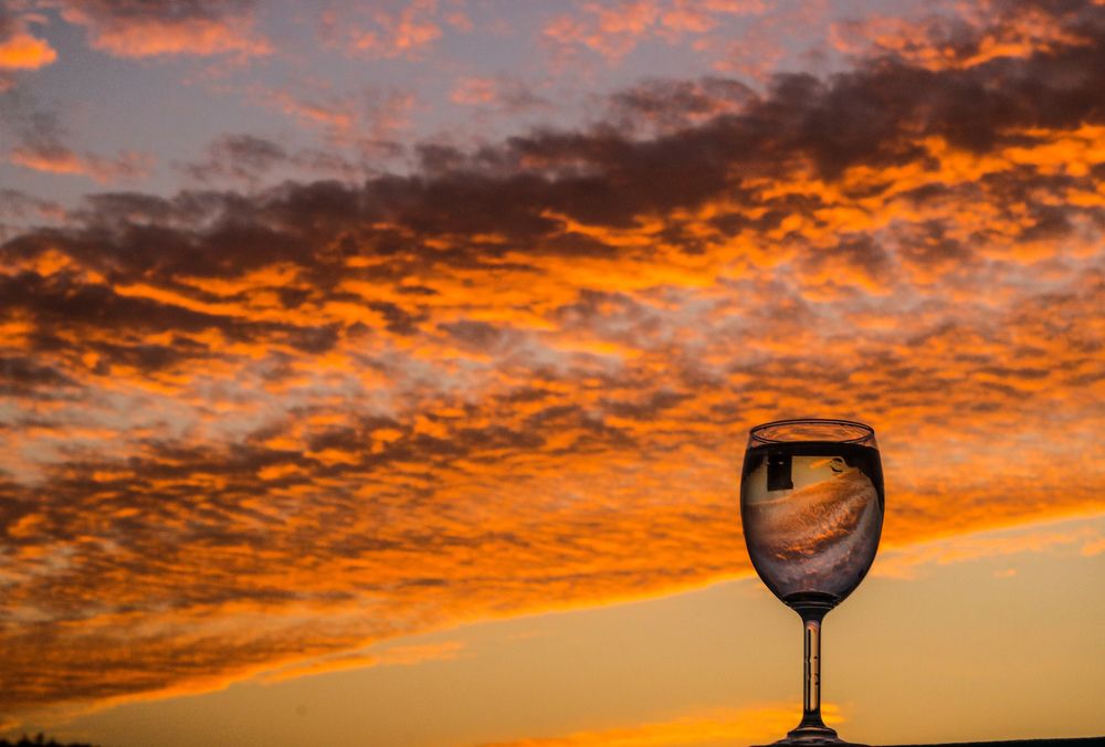 Photograph by Lakshya Sharma