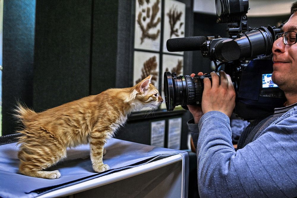 Photograph by Юрий Назыров