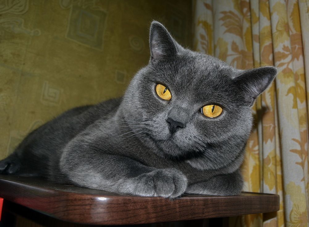 Photograph by Юрий Назыров