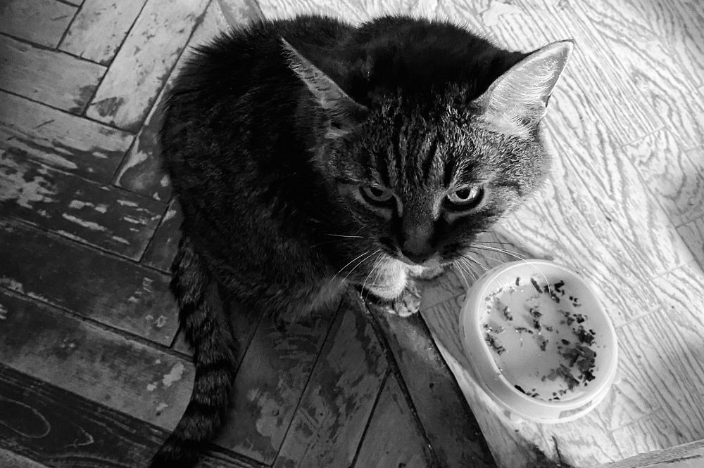 Фотография автора Кирилл Литовский