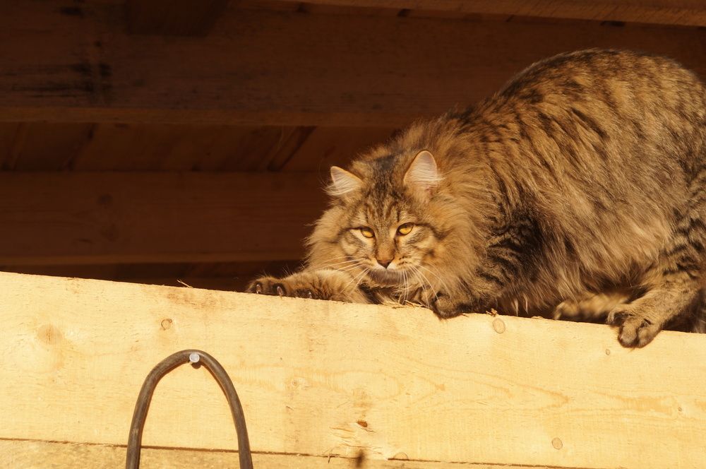 Photograph by Алексей Логинов