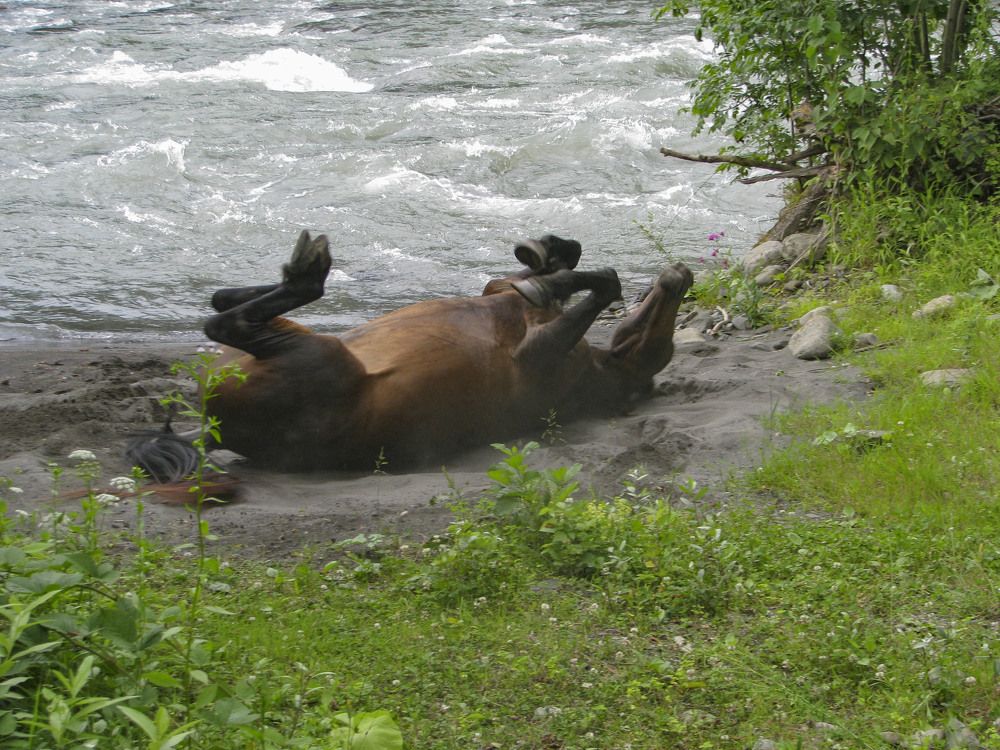 Photograph by Алексей Логинов
