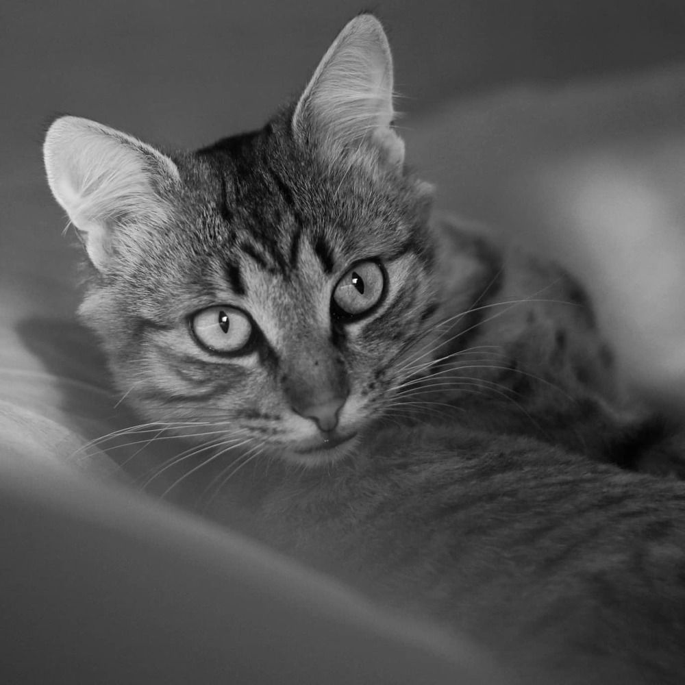 Photograph by Екатерина Миц