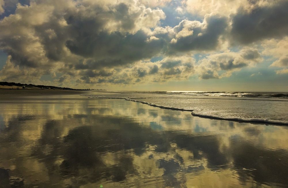 Photograph by Viviana García